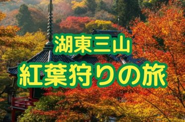 湖東三山 紅葉狩りの旅｜さるびあ交通